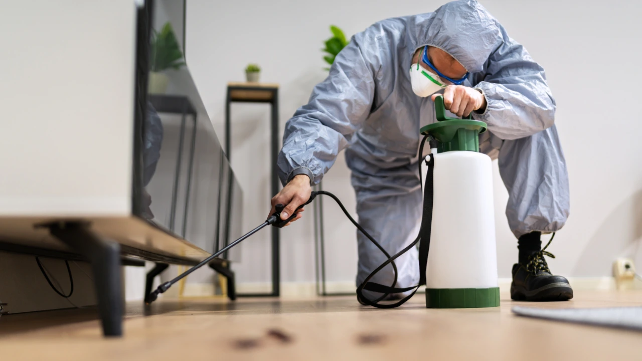 Integrated Pest Management (IPM)